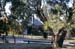 tuggeranong-school-09