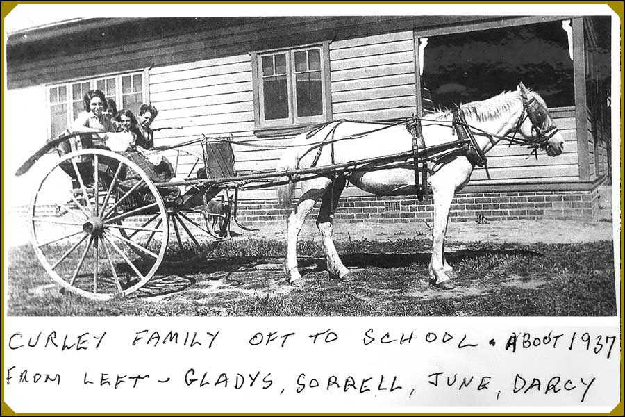 The Curley children off to Tuggeranong School 1930s